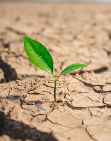 Christian Counselling