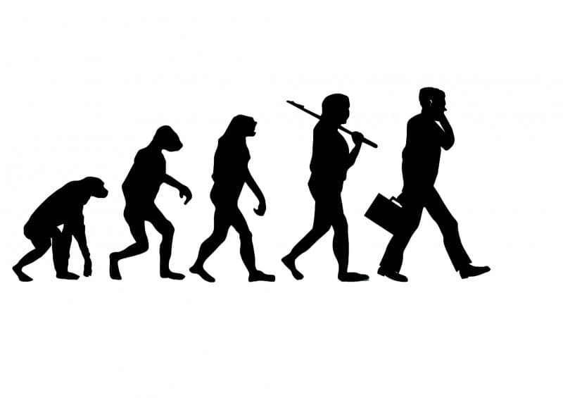 Media Evolution