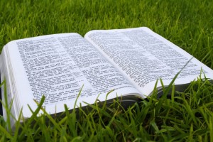 Gods-Word-makes-us-wise